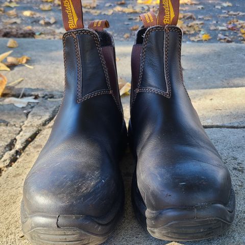 Blundstone 172 in Stout Brown