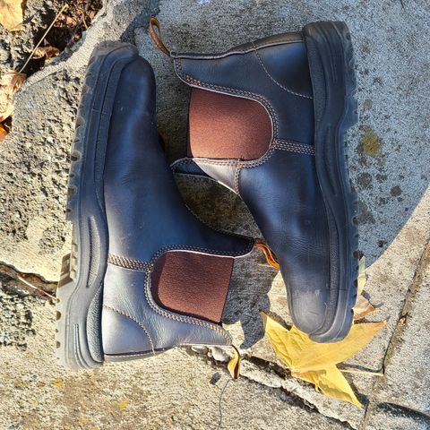 Blundstone 172 in Stout Brown