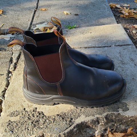 Blundstone 172 in Stout Brown