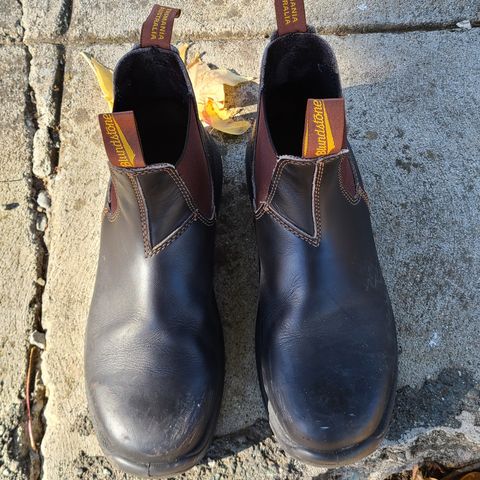 Blundstone 172 in Stout Brown