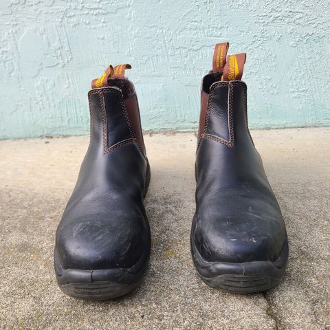 Blundstone 172 in Stout Brown