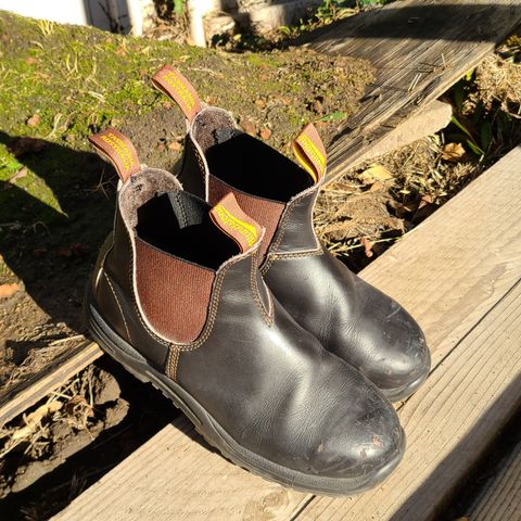 Blundstone 172 in Stout Brown