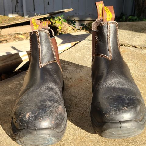 Blundstone 172 in Stout Brown