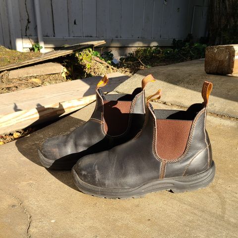 Blundstone 172 in Stout Brown