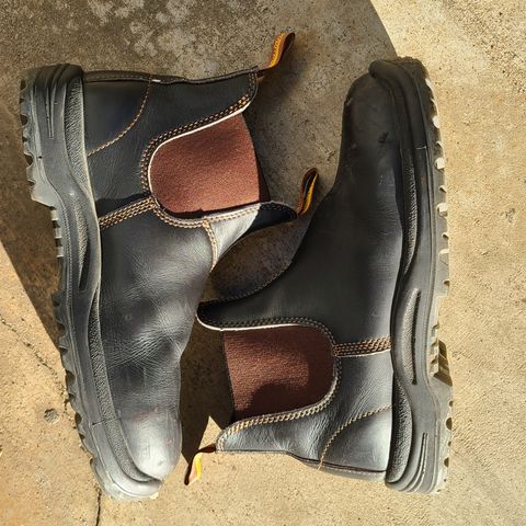 Blundstone 172 in Stout Brown