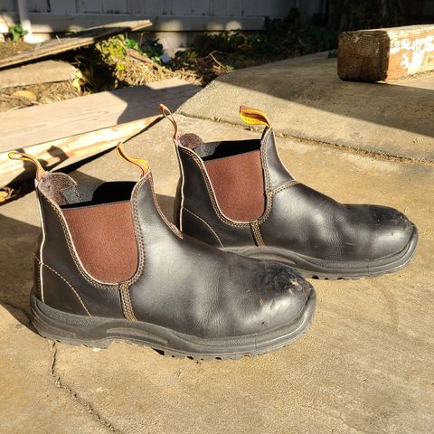 Blundstone 172 in Stout Brown