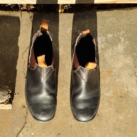 Blundstone 172 in Stout Brown