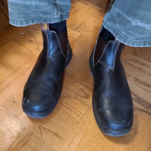 Blundstone 172 in Stout Brown