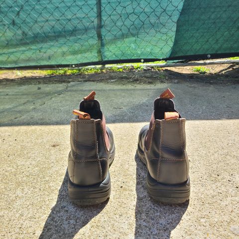 Blundstone 172 in Stout Brown