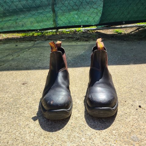 Blundstone 172 in Stout Brown