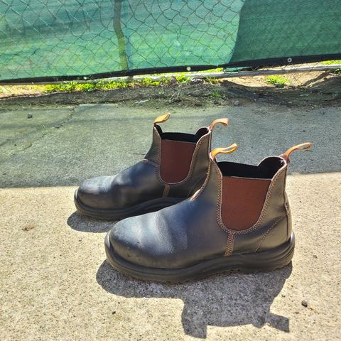 Blundstone 172 in Stout Brown