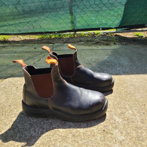 Blundstone 172 in Stout Brown