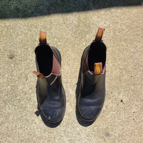 Blundstone 172 in Stout Brown