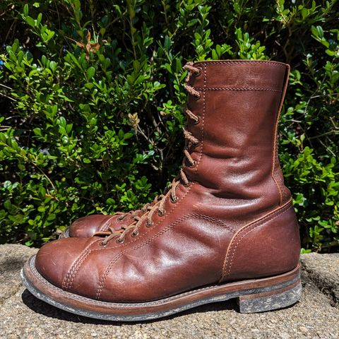 Eastman Leather Raider Boots in Walnut Horsehide