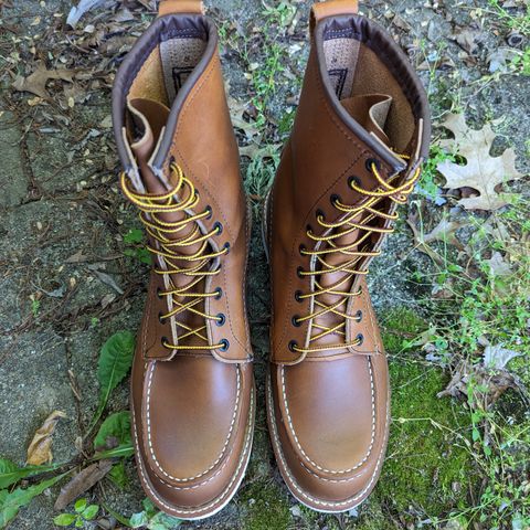 View photo of Red Wing Red Wing / 10877 in S.B. Foot Oro-Iginal