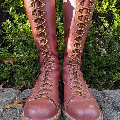 Wesco Highliner in Seidel Redwood Oil Tan