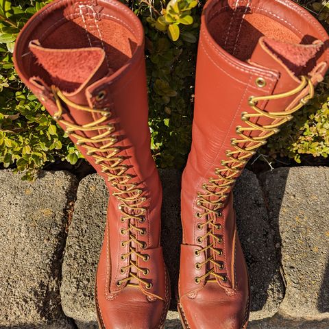 Wesco Highliner in Seidel Redwood Oil Tan