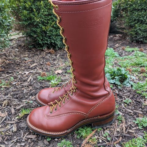 Wesco Highliner in Seidel Redwood Oil Tan