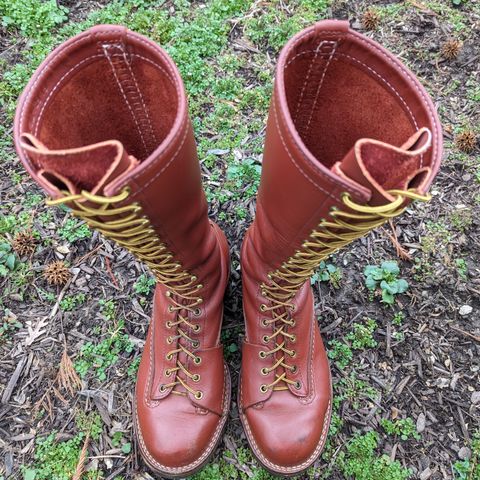 Wesco Highliner in Seidel Redwood Oil Tan