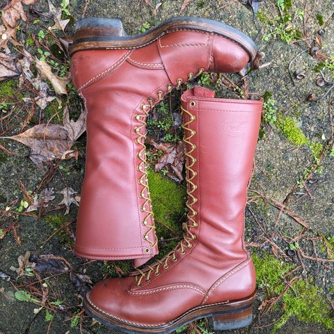 Wesco Highliner in Seidel Redwood Oil Tan