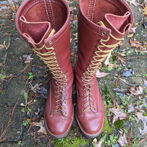 Wesco Highliner in Seidel Redwood Oil Tan