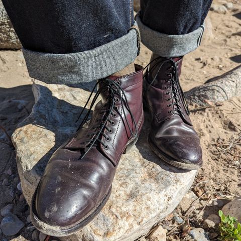 Alden Plain Toe Boot in Horween Color 8 Shell Cordovan