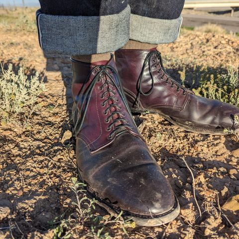 Alden Plain Toe Boot in Horween Color 8 Shell Cordovan