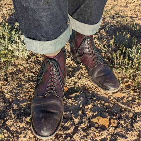 Alden Plain Toe Boot in Horween Color 8 Shell Cordovan
