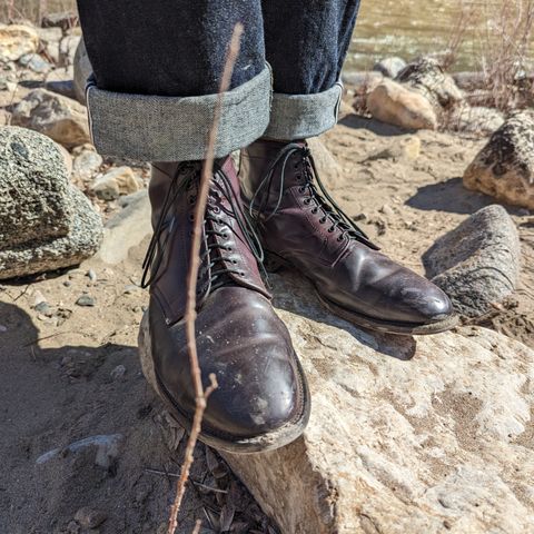 Alden Plain Toe Boot in Horween Color 8 Shell Cordovan