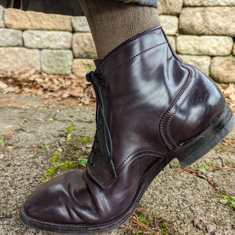 Alden Plain Toe Boot in Horween Color 8 Shell Cordovan