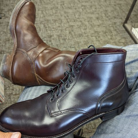 Alden Plain Toe Boot in Horween Color 8 Shell Cordovan