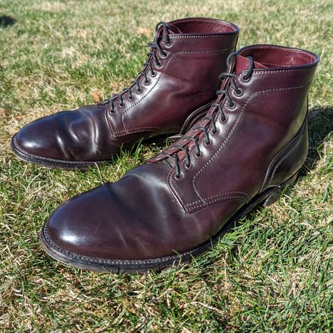 Alden Plain Toe Boot in Horween Color 8 Shell Cordovan