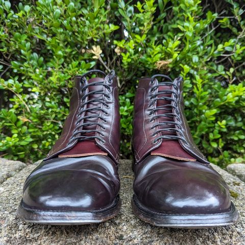 Alden Plain Toe Boot in Horween Color 8 Shell Cordovan