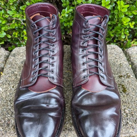 Search result thumbnail of Alden Plain Toe Boot in Horween Color 8 Shell Cordovan