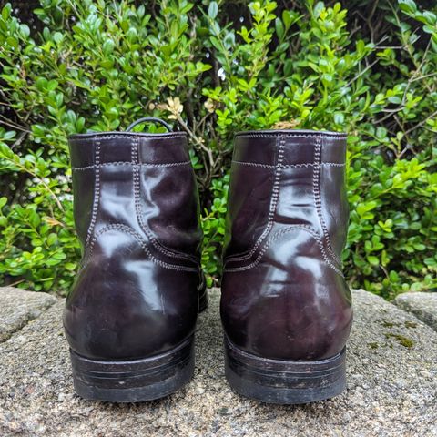 Alden Plain Toe Boot in Horween Color 8 Shell Cordovan