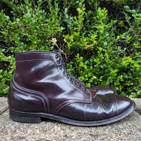 Alden Plain Toe Boot in Horween Color 8 Shell Cordovan