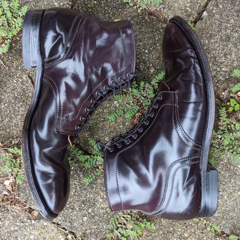 Alden Plain Toe Boot in Horween Color 8 Shell Cordovan