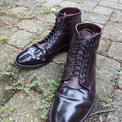 Alden Plain Toe Boot in Horween Color 8 Shell Cordovan