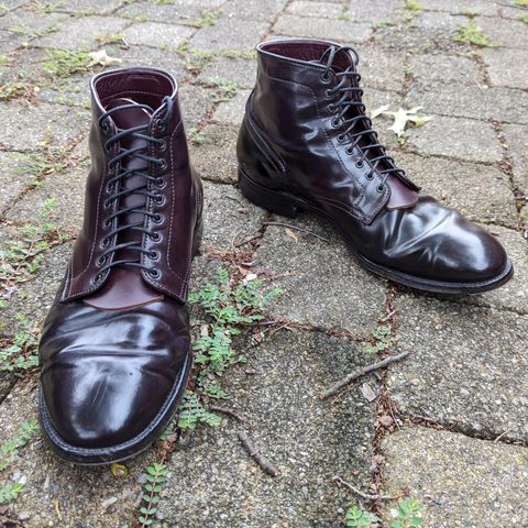 Alden Plain Toe Boot in Horween Color 8 Shell Cordovan