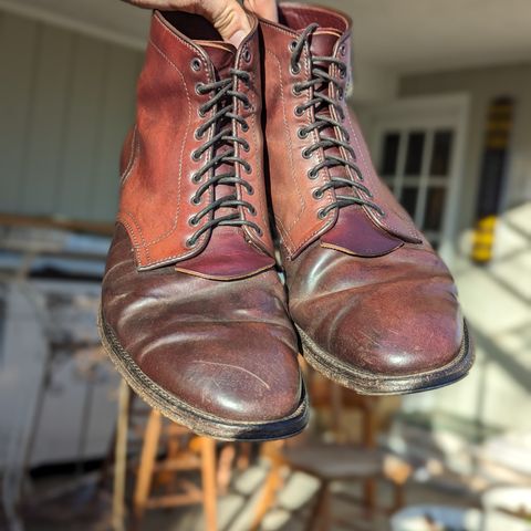 Alden Plain Toe Boot in Horween Color 8 Shell Cordovan