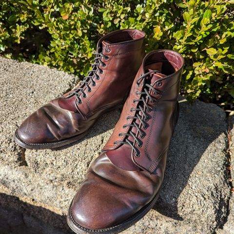 Alden Plain Toe Boot in Horween Color 8 Shell Cordovan