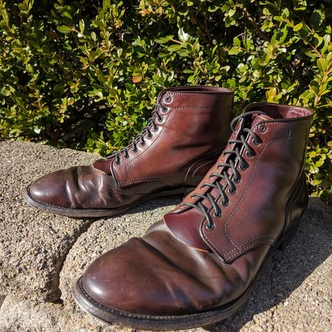 Alden Plain Toe Boot in Horween Color 8 Shell Cordovan