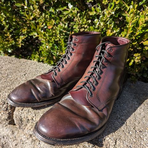 Alden Plain Toe Boot in Horween Color 8 Shell Cordovan
