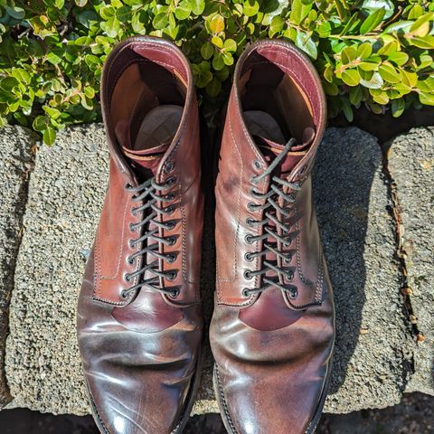 Alden Plain Toe Boot in Horween Color 8 Shell Cordovan
