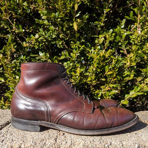 Alden Plain Toe Boot in Horween Color 8 Shell Cordovan