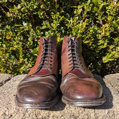 Alden Plain Toe Boot in Horween Color 8 Shell Cordovan