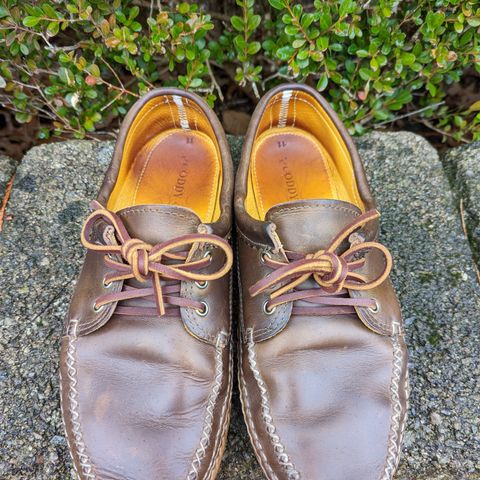 View photo of Quoddy Blucher in Horween Olive Chromexcel