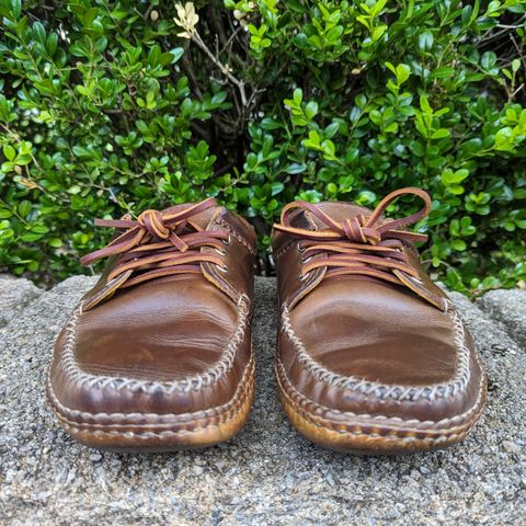 View photo of Quoddy Blucher in Horween Olive Chromexcel