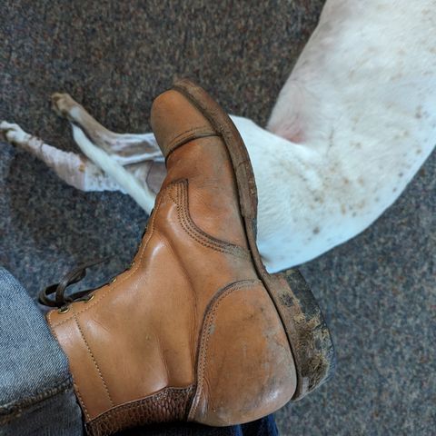 M.F. Boot Co Service Boot in Sepici Tumbled Waxed Natural Veg Tan