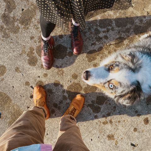 View photo of Viberg Officer Boot in Shinki Camel Latigo Horsehide